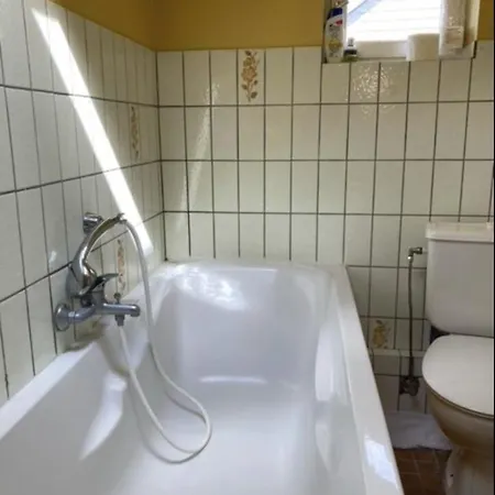 Le Chant Des Sirenes